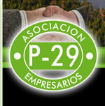 P29