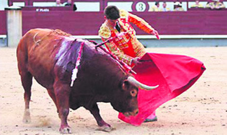 Pinar dio una gran dimensión en Madrid   (Foto: WWW.LAS-VENTAS.COM)