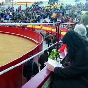 Valdemorillo espera la celebración de su feria taurina en febrero