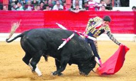 El novillero Juan Manuel Jiménez, en una imagen de archivo