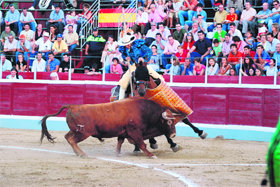 Imagen del novillo premiado de “El Pilar”  (Foto: ÁLVARO BLANCO)