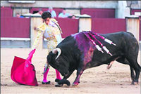 Mingo tuvo que matar cinco novillos (Foto: WWW.LAS-VENTAS.com)