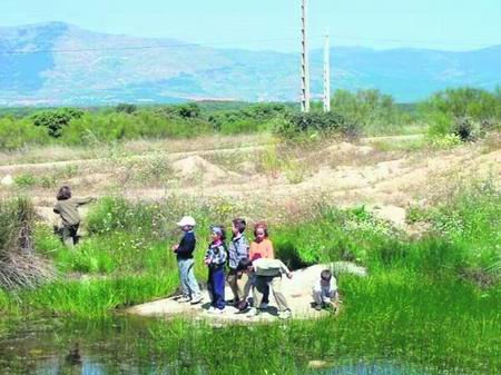 Imagen de las charcas de Los Escoriales / PROYECTO VERDE