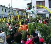 Imagen de la celebración del Domingo de Ramos  (Foto: CEDIDA)
