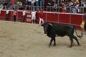 Imagen de uno de los encierros de Galapagar