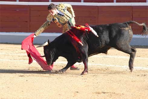 Guadarrama se prepara para cuatro novilladas de primer nivel