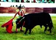 De Justo, mejor novillero de la Feria de Guadarrama  