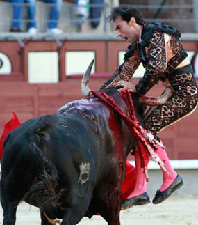 Fernando Cruz reaparece el domingo tras su cogida en Madrid