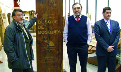 Inaugurada en la Casa de Cultura de Navacerrada la exposición divulgativa ‘Bosque de bosques’