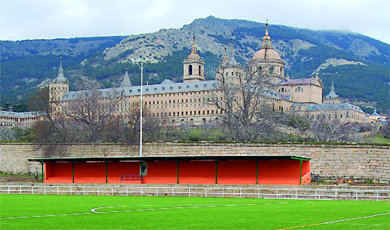 Imagen del campo, con el Monasterio al fondo  (Foto: CEDIDA)