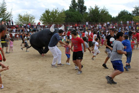 Actividades deportivas y el concurso canino prolongan la agenda festiva