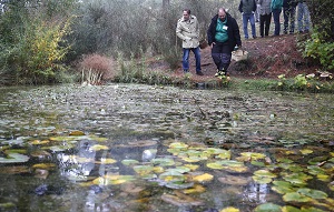 La Comunidad programa más de 350 actividades medioambientales gratuitas para disfrutar del otoño