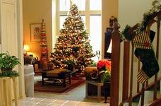 Galapagar anuncia las actividades programadas en Navidad