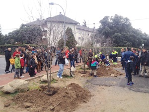 Niños de Los Arroyos apadrinan 24 prunos en la celebración del Día del Árbol