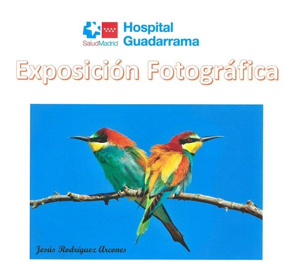 El sábado finaliza la exposición el ‘Espacio Natural’ en el Hospital Guadarrama