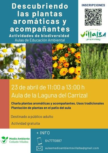 Charla gratuita sobre plantas aromáticas en Collado Villalba este 23 de abril