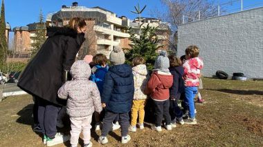Majadahonda reserva una segunda vida para los abetos del 'Bosque de los Deseos'