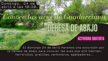 El Sejuve y Seo BirdLife organizan un recorrido por la Dehesa de Abajo para conocer las aves de Guadarrama