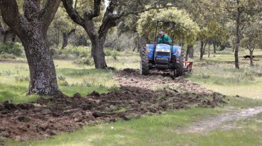 Boadilla restaura la vegetación de caminos del monte que están siendo utilizados de forma indebida