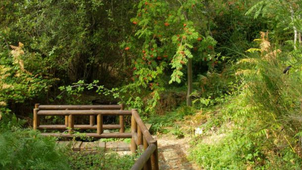 Así celebrará la Comunidad de Madrid el Día Mundial del Medio Ambiente