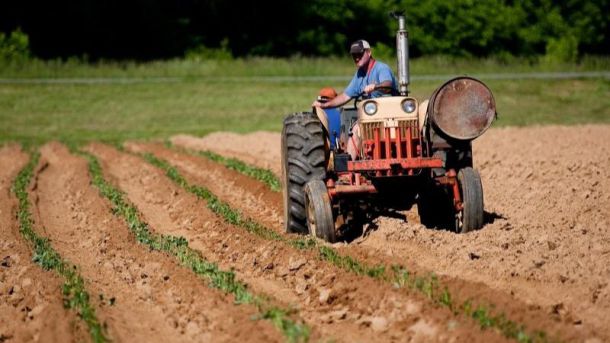 Rebaja mínima del 25% en el IRPF 2022 para unos 25.000 agricultores y ganaderos madrileños