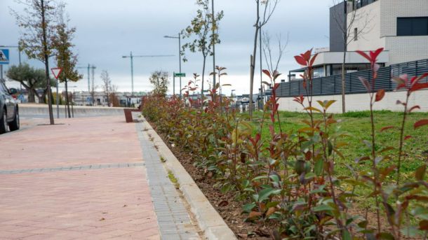 Finaliza la plantación de 5.000 arbustos en Boadilla