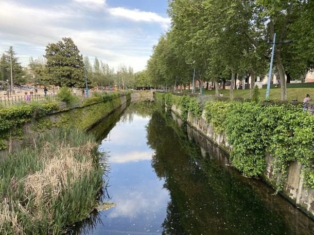 Más Madrid inicia la renaturalización del río Guadarrama en Collado Villalba