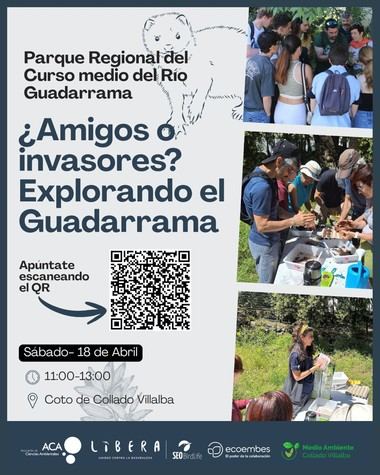 Explora el Guadarrama en la actividad gratuita 'Amigos o invasores' este 18 de abril