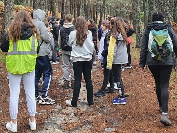 Actividades de verano para jóvenes de Las Rozas: inscripciones abiertas para cursos y talleres