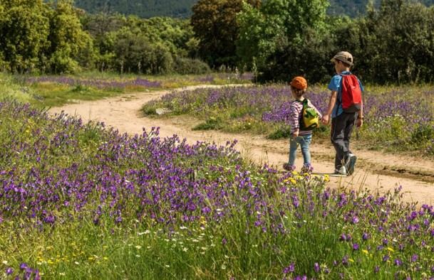 APASCOVI y Adesgam se unen para conmemorar el Día Mundial del Medio Ambiente 2025