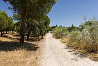 Boadilla del Monte invertirá en 11 kilómetros de nuevas sendas y carriles bici