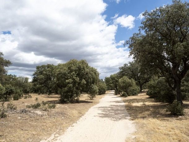 Boadilla se une al proyecto Arco Verde para crear un corredor ambiental de 25 km