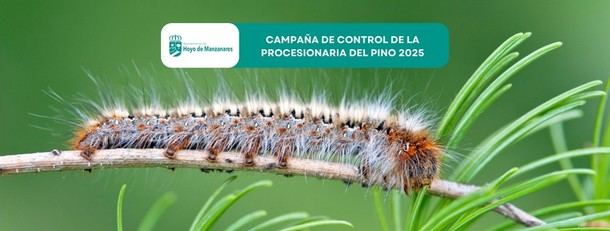 Inicio de la campaña de control de la procesionaria del pino en Hoyo de Manzanares 2025