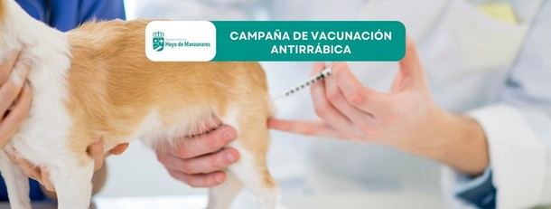 Vacunación antirrábica para mascotas en Hoyo de Manzanares durante abril de 2025