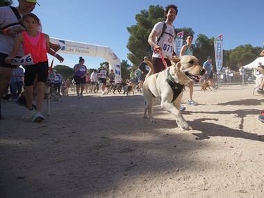 Más de 100 perros se unirán a sus dueños en la II edición de CaniCross Las Rozas este domingo