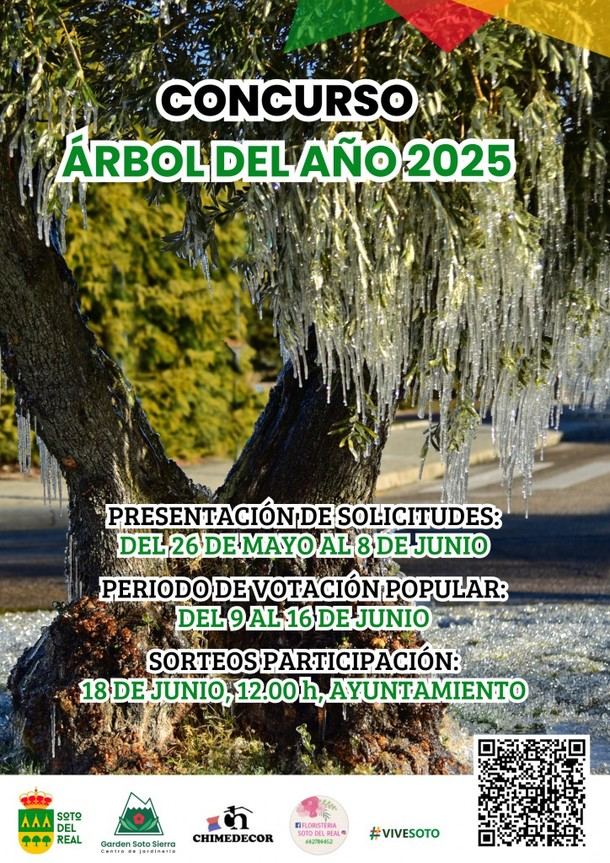 Soto del Real lanza concurso para elegir el Árbol del Año 2025