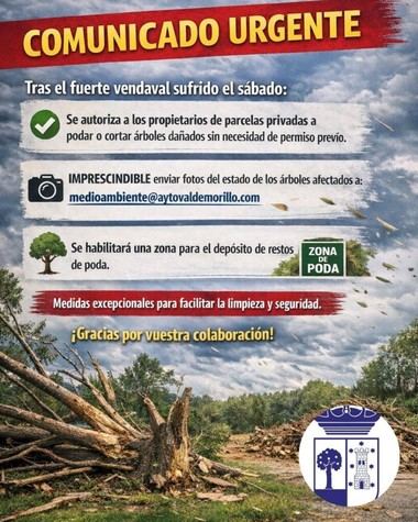 Limpieza en Valdemorillo tras el vendaval: instrucciones del Ayuntamiento