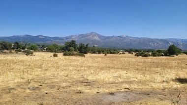 Moralzarzal reforesta la Dehesa Vieja con 250 fresnos gracias a un convenio con IMIDRA