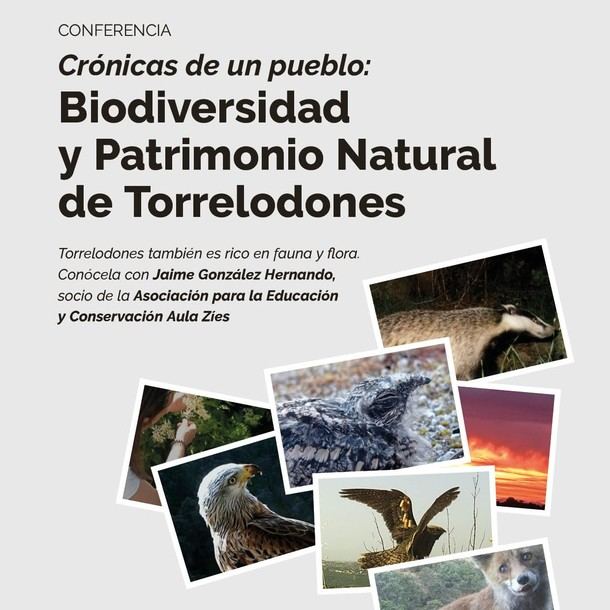 Explora la fauna y flora de Torrelodones en abril