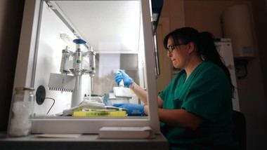 Díaz Ayuso crea un Comité de Emergencias para abordar enfermedades zoonóticas en Madrid