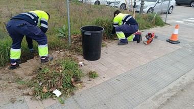 Oportunidad laboral: diez jóvenes obtendrán certificado en limpieza en Guadarrama