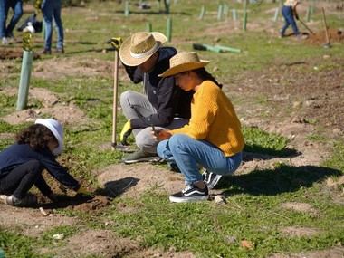 Las Rozas recibe el premio "Tree Cities of the World" por sexto año consecutivo