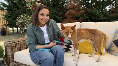 'Dog House' vuelve a La 1 con su emocionante segunda temporada este martes