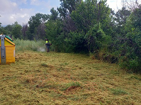 El Ayuntamiento refuerza el desbroce en aceras y zonas verdes de Guadarrama