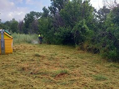 El Ayuntamiento refuerza el desbroce en aceras y zonas verdes de Guadarrama