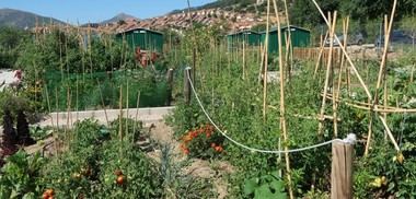 El Ayuntamiento sortea 20 huertos sociales para vecinos de San Lorenzo