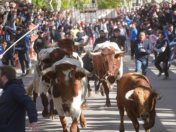Las Matas celebra las fiestas de San José este fin de semana