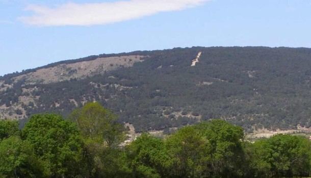 Temporada de caza en Moralzarzal: fechas 2025-2026 reveladas