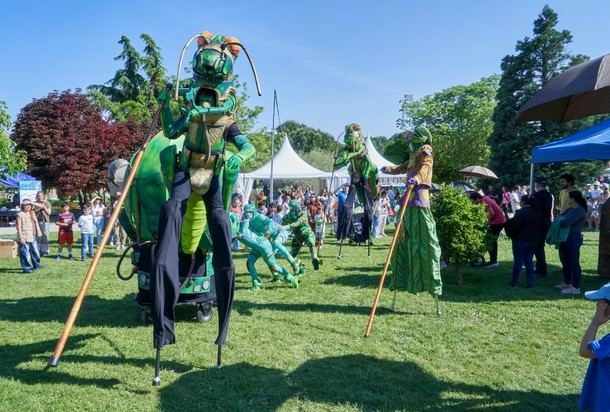 Actividades y diversión en la fiesta de San Isidro en Villanueva de la Cañada