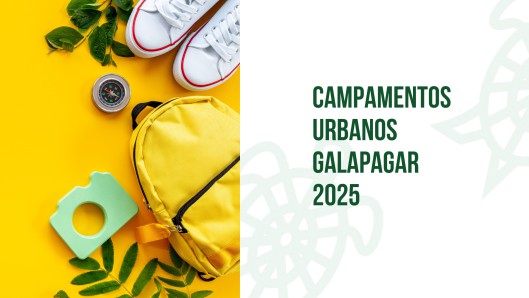 Galapagar lanza su programa de campamentos de verano 2025 para niños y jóvenes